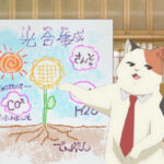 第15話『ムームーと光合成』